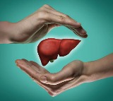 Plant Based Diet Lowers Ammonia Levels in Cirrhosis Patients Study Finds