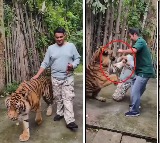 Indian Tourist Attacked by Tiger in Thailand Tiger Kingdom