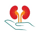 Kidney Cleanse Top 5 Foods for Healthy Kidneys