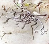 Over 100 Snakes Emerge From Meerut Farmers House