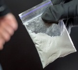Chinese nationals accused of smuggling agroterrorism pathogen into US