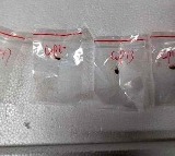 Fusarium graminearum smuggled into US by Chinese nationals