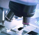 Scientists develop real-time genome sequencing to combat deadly superbug