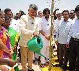 Chandrababu Naidu plants trees in Anantavaram Pawan Kalyan attends