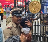 Royal Challengers Bangalore Stampede Karnataka Govt Gets High Court Notice