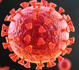 Study shows how Covid virus shields itself during replication
