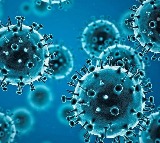 Coronavirus Cases Surge in India Active Cases Exceed 5300