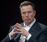 Elon Musk Donald Trump Feud Causes Tesla Stock Plunge