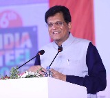 Modi govt creating new history in every field: Piyush Goyal