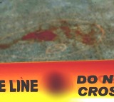 Married woman fatally stabbed 17 times by lover in Bengaluru; techie arrested