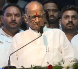 Don’t worry about split, focus on revival of NCP-SP: Sharad Pawar tells party workers