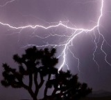 IMD predicts widespread thunderstorms with heavy rainfall; orange alert issued across multiple states