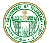 Telangana decides to start pre-primary sections in government schools