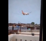 Air India Flight 171 crash Experts suspect bird strike