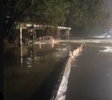 Hyderabad Heavy Rain Disrupts City Life