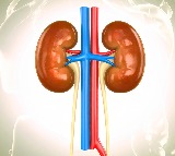 Prior Covid vaccination proved beneficial for acute kidney injury patients: Study