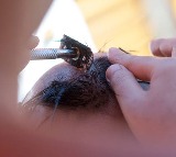 Odisha Love Marriage 40 Men Forced to Shave Heads for Love Marriage