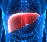 Study shows alcohol-linked liver deaths rising in women, young adults