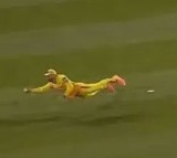 Faf du Plessis Stunning One Handed Catch in MLC 2025