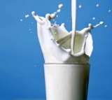 Himachal first to procure cow, buffalo milk on MSP