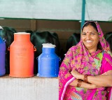 Himachal Pradesh Announces MSP for Cow and Buffalo Milk