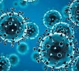 Coronavirus New Omicron Subvariants Identified in India