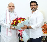 Nara Lokesh Meets Amit Shah in Delhi