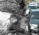 Elderly Man Dies After Being Hit by Jagan Convoy Vehicle in Guntur