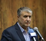 Iran's atomic chief urges IAEA to end 'inaction,' condemn Israeli attacks