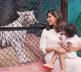 Here’s how Ram Charan’s daughter shares a special connection with a baby tigress