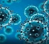 Airborne fungal spores may help predict Covid, flu surge: Study