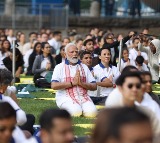 Yoga gives world the direction of peace: PM Modi