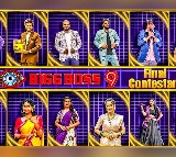 Bigg Boss 9 Telugu Contestants List Leaked Alekhya Included
