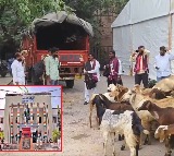 Yadava Sangham Protests at Gandhi Bhavan With Sheep