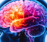 Study finds genetic link for rare childhood brain developmental disorder