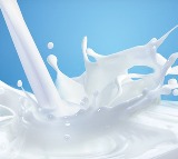 Kukatpally Police Station Receives Complaint About Spoiled Milk