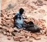 Brave Man fights off leopard attack at brick kiln