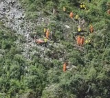 One dead, 10 missing as bus plunges into river in Uttarakhand