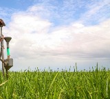China Stops Specialty Fertilizers Export to India