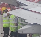 Air India Flight Delayed After Bird Nest Found on Wing