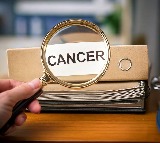 New AI tool to revolutionise personalised cancer treatment