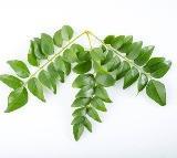 Content Creator Ved Campbell Goes to Mumbai for Curry Leaves