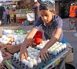 Egg consumption higher in India compared to neighboring countries