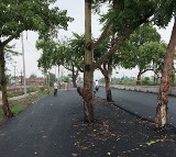 Bihar Road Project 100 Crore Road Construction with Trees in the Middle
