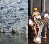 Haryana Flood Rs 60 Crore Loss at Saraswati Sugar Mill