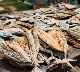 Dried Fish Higher in Protein Than Chicken