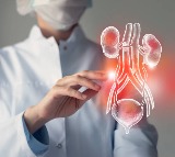 Kidney Damage Silent Warning Signs You Should Know