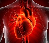 US researchers develop AI model improving sudden cardiac death prediction