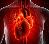 US researchers develop AI model improving sudden cardiac death prediction