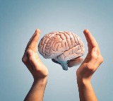 Brain Health Six Essential Nutrients for Sharp Brain Function